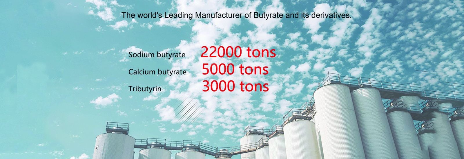 Sodium Butyrate Powder