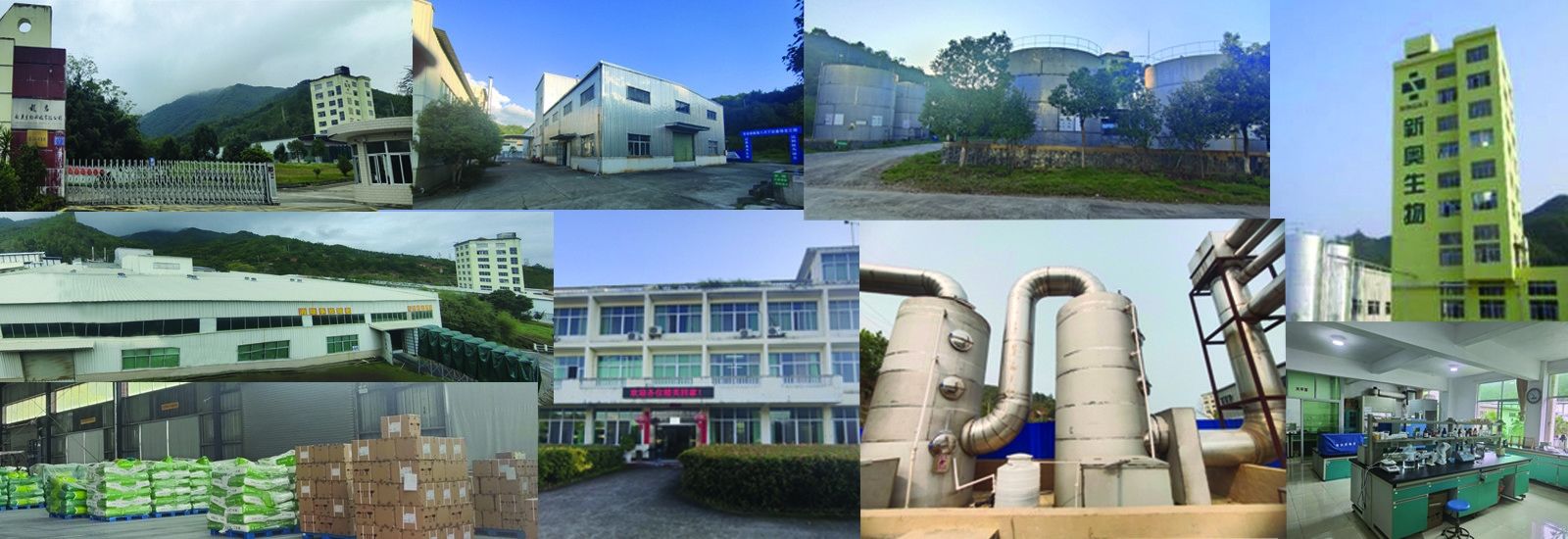 Short Chain Fatty Acids Butyrate