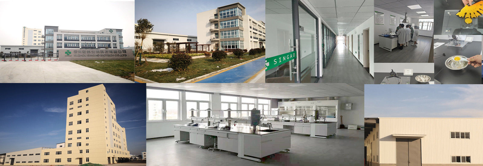 Coated Sodium Butyrate