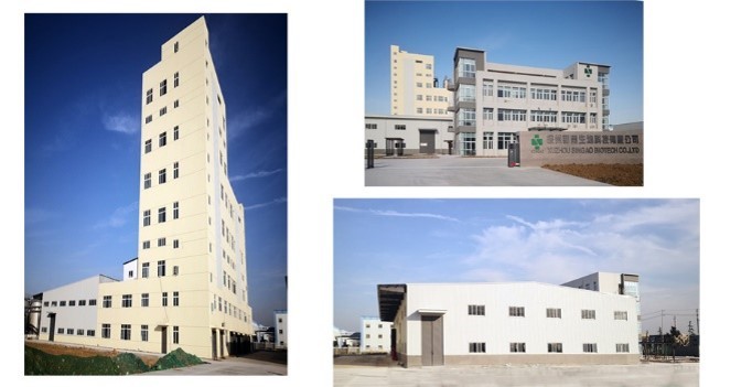 Singao (Xiamen) Agribusiness Development Co., Ltd. factory production line