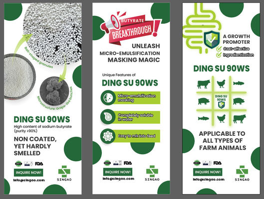 Odourless Non-coated Sodium Butyrate 90% For Aqua