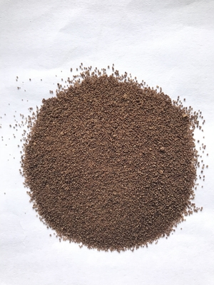 probiotic Clostridium butyricum