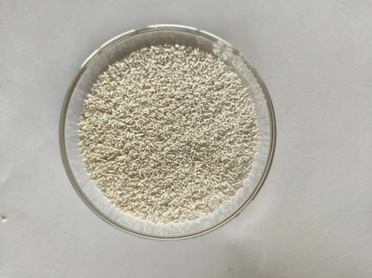 Slow Release 80% Coated Calcium Butyrate 75% CAS 5743-36-2 Plus Sodium Butyrate 5% For Swine