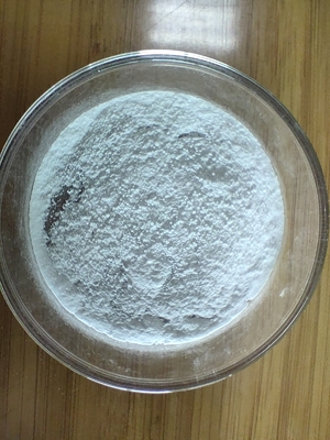 Odourless And Ball Shape Uncoated 95% Sodium Butyrate For aqua