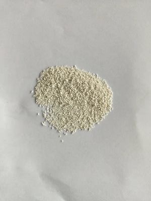 Slow Release Coated Calcium Butyrate 70% CAS 5743-36-2 plus sodium butyrate 10% for aqua