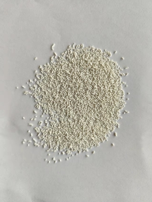 Slow Release Coated Calcium Butyrate 55% CAS 5743-36-2 plus sodium butyrate 25% for poultry