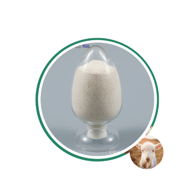 Slow Release 80% Coated Calcium Butyrate 50% Plus Sodium Butyrate 30% CAS 5743-36-2 For Aqua