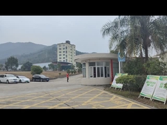 SINGAO LONGYAN FACTORY