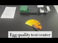 egg quality test center of Singao